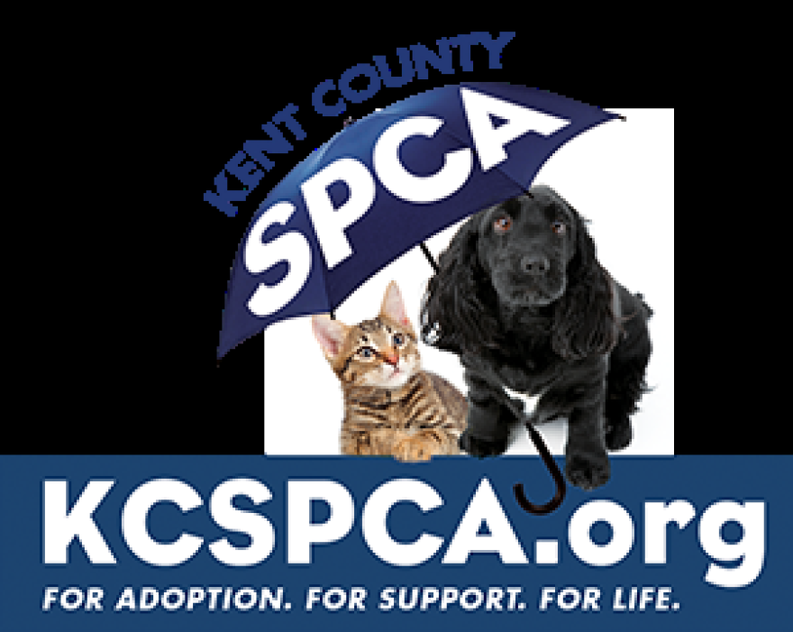 Kent county spca 2025
